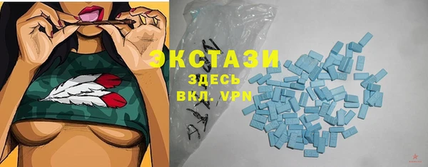 ECSTASY Богородицк