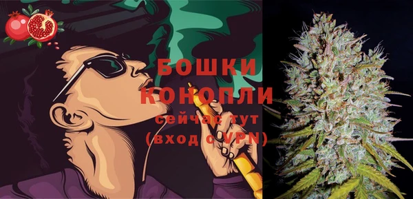 ECSTASY Богородицк